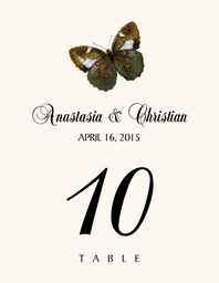 Butterfly Assortment Table Numbers