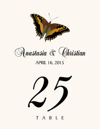 Butterfly Assortment  Table Numbers