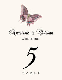 Butterfly Assortment Table Numbers