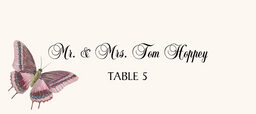 Butterfly Assortment  Place Cards