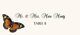 Butterfly Assortment  Place Cards