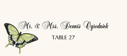 Butterfly Assortment  Place Cards