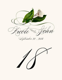 Calla Lily Swirl  Table Numbers