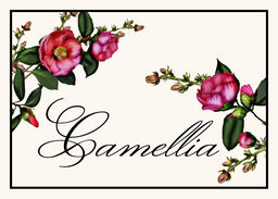 Camellia Table Names