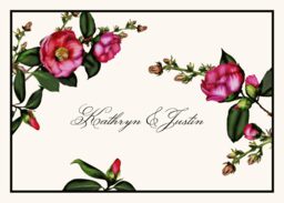 Camellia Thank You Notes