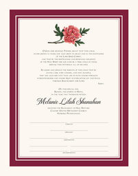 Classic Pink Peony  Baby Certificates