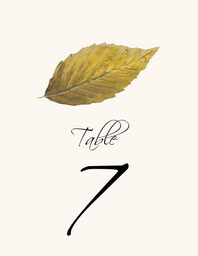 Colorful Leaves Assortment 02 Table Numbers