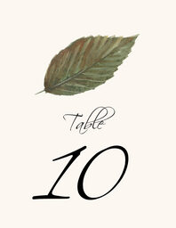 Colorful Leaves Assortment 02 Table Numbers