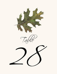 Colorful Leaves Assortment 02  Table Numbers