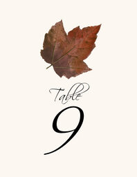 Colorful Leaves Assortment 02 Table Numbers