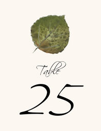 Colorful Leaves Assortment 02  Table Numbers