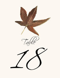 Colorful Leaves Assortment 02  Table Numbers