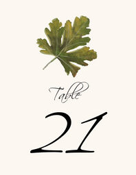 Colorful Leaves Assortment 02  Table Numbers