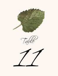 Colorful Leaves Assortment 02 Table Numbers