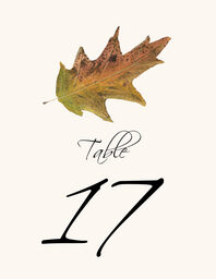 Colorful Leaves Assortment 02  Table Numbers