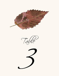 Colorful Leaves Assortment 02 Table Numbers