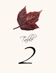 Colorful Leaves Assortment 02 Table Numbers