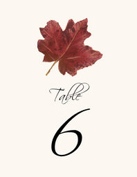 Colorful Leaves Assortment 02 Table Numbers