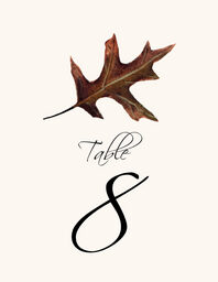 Colorful Leaves Assortment 02 Table Numbers