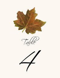 Colorful Leaves Assortment 02 Table Numbers