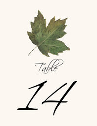 Colorful Leaves Assortment 02  Table Numbers