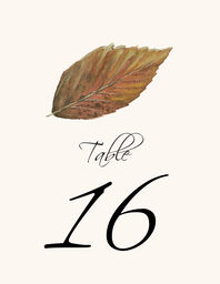 Colorful Leaves Assortment 02  Table Numbers