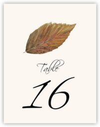 Colorful Leaves Assortment 02  Table Numbers