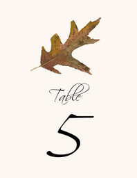 Colorful Leaves Assortment 02 Table Numbers