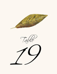 Colorful Leaves Assortment 02  Table Numbers