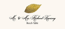 Beech Colorful Leaf  Place Cards