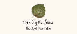Bradford Pear Colorful Leaf Place Cards
