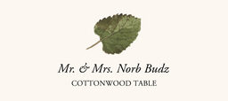 Cottonwood Colorful Leaf Place Cards