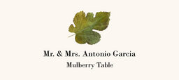 Mulberry Colorful Leaf Place Cards