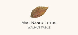 Walnut Colorful Leaf Place Cards