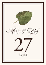 Colorful Leaves Assortment 01  Table Numbers