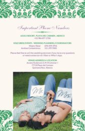 Damask Twist Welcome Letter  Wedding Programs