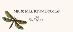 Dragonflies Place Cards