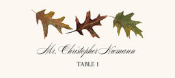 Leaf Pattern Assortment  Place Cards