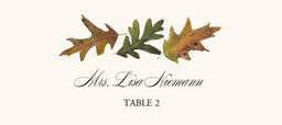 Leaf Pattern Assortment  Place Cards