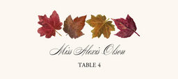 Leaf Pattern Assortment  Place Cards