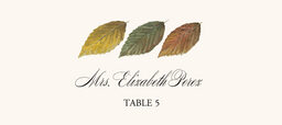 Leaf Pattern Assortment  Place Cards