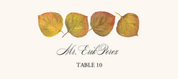 Leaf Pattern Assortment  Place Cards