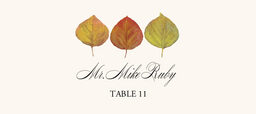 Leaf Pattern Assortment  Place Cards