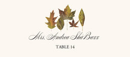 Leaf Pattern Assortment  Place Cards