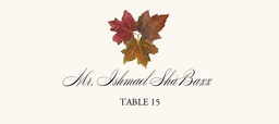 Leaf Pattern Assortment  Place Cards