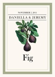 Fruit, Vegetables, Nuts & Grains  Table Names