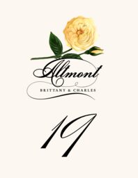 Roses Assortment Table Numbers