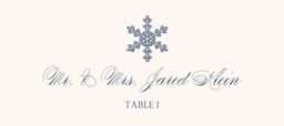Snowflake Drawings Assortment Place Cards