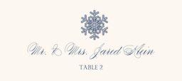 Snowflake Drawings Assortment Place Cards