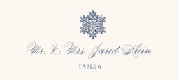 Snowflake Drawings Assortment Place Cards